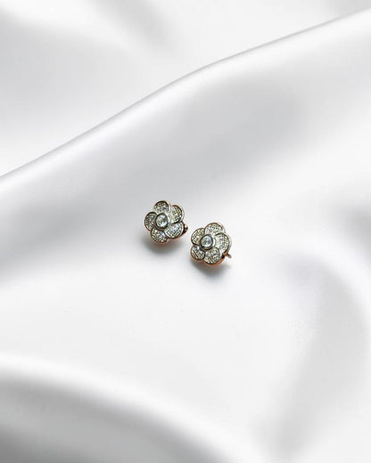 Elegant Earrings