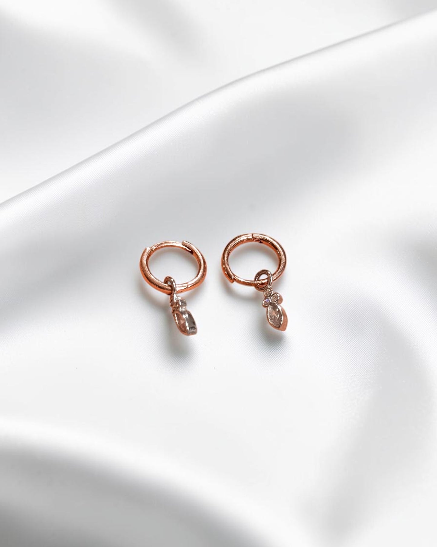 Elegant Earrings
